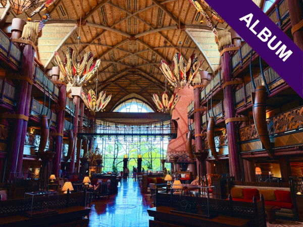 Photo Album
WDW25-Day 4 in Pictures
https://jarunmb.com/posts/wdw25-day-4-in-pictures

#WDW