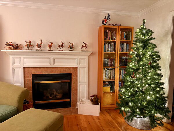 Operation Christmas Phase 1 in progress

#Christmas #Photography