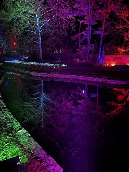 Garden Lights at the MSV

#Photography