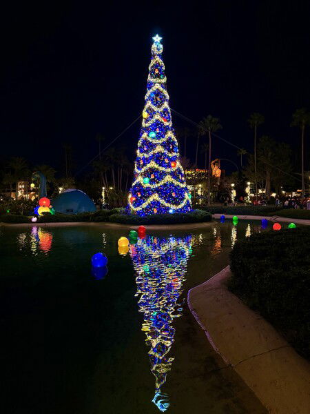 Tree Reflection at Hollywood Studios 2024

#Christmas #WDW #Photography 