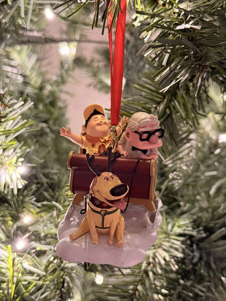 Russell, Carl, and Dug sending holiday cheer

#Christmas #Photography 