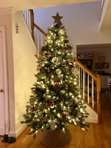 Main Christmas Tree 2025

#SilentSunday #Christmas #Photography