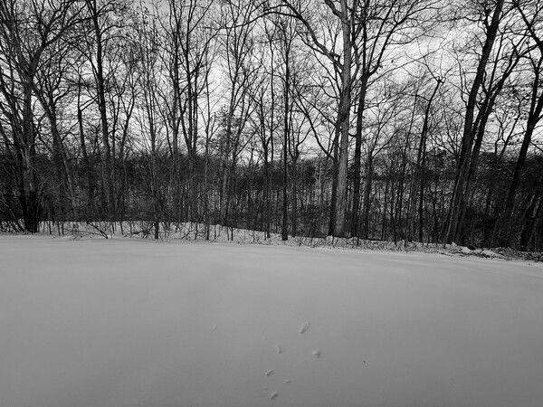 The day after
Photos 365-D026
#Photos365 #Photography #mb_Pix