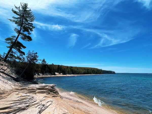 The wind-eroded rocky shore of Lake Superior stretches off from the left to the right around blue water below a blue sky, and a hardy conifer curves up on the left.
