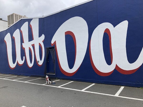 “Uff Da” in huge white letters on a blue wall with a tiny white and black dog sitting in front. The dog looks so very, very small