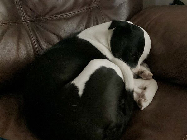 🪢 yes this is comfortable