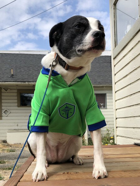 💙💚