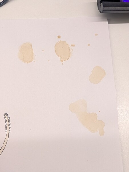 Coffee Isles 1/3