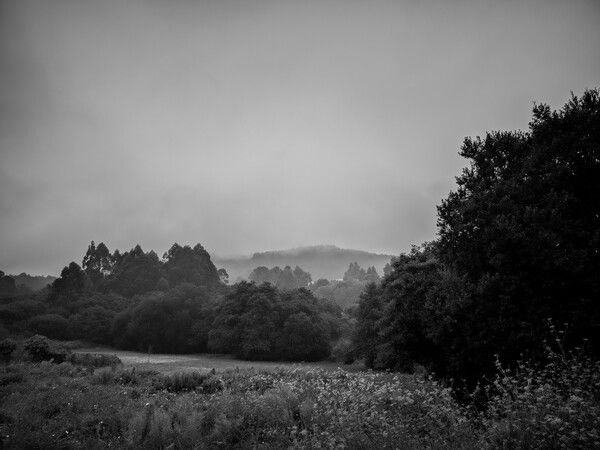 mist