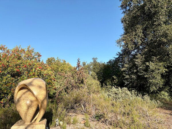 A modern curvy statue stands against lush greenery.