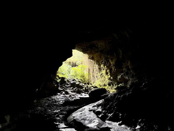 photo from inside a cave towards the exit with lush greenery 