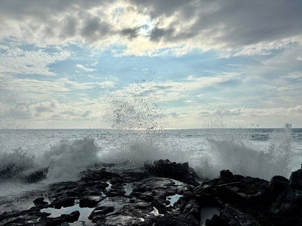 waves backlit by the sun crash against black lava rocks
