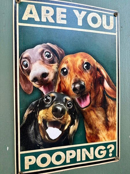 A sign with 3 dachshunds asks, “Are you pooping?”