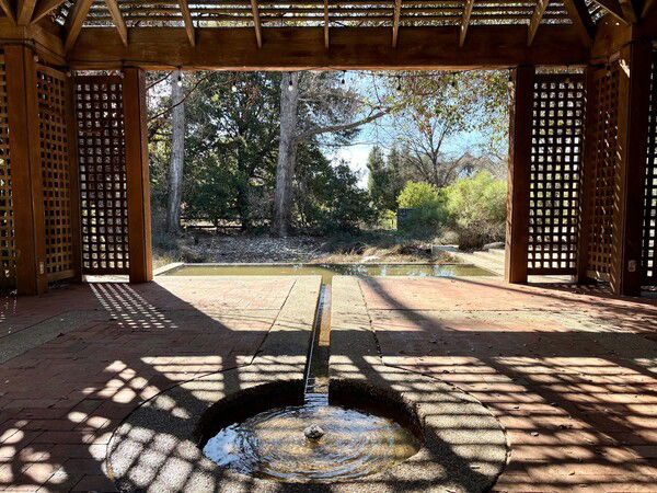 Water from a brick patio flows into a reflecting pond outside of a wooden structure.