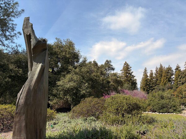 Kristan Marvell’s Silent Sentinel