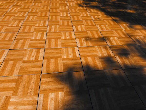 Shaded Dance Floor

This work is marked with CC0 1.0 Universal, download the much larger original at https://macmanx.com/cc0-licensed-photos/