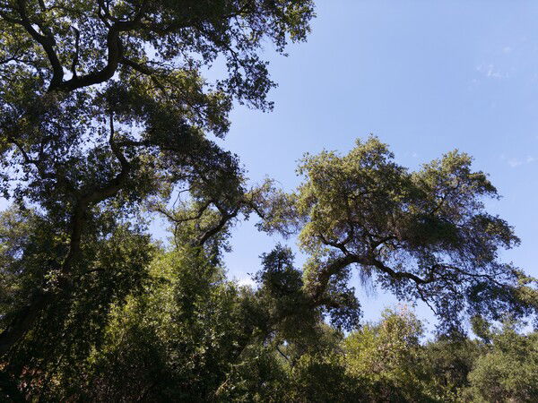 Beautiful day in the garden today.