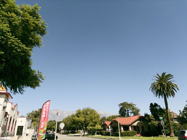 nice day for a farmers market