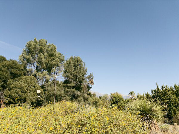 kinetic sculpture by Phill Evans