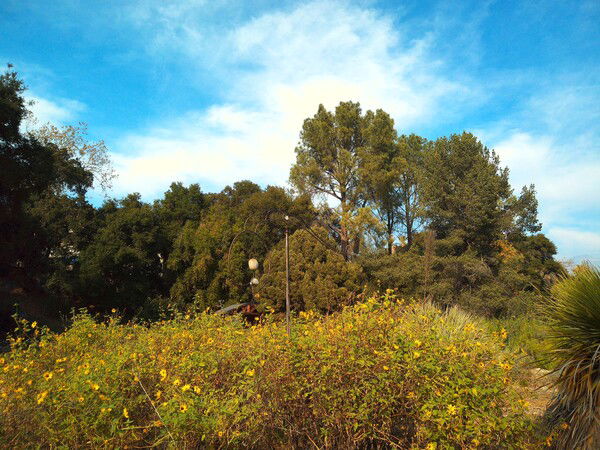 first Camp Snap Pro photo