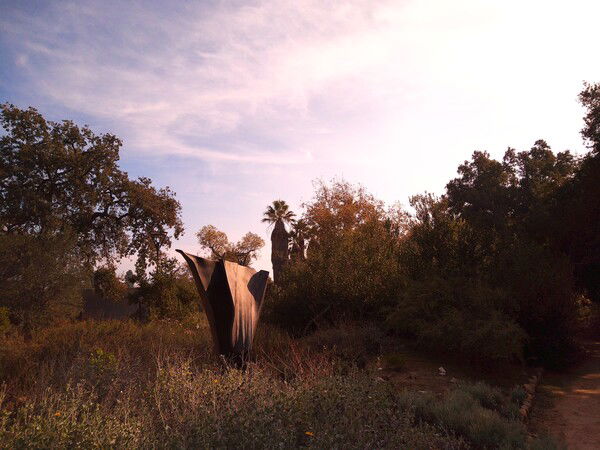 Open Vessel, by Kristan Marvell