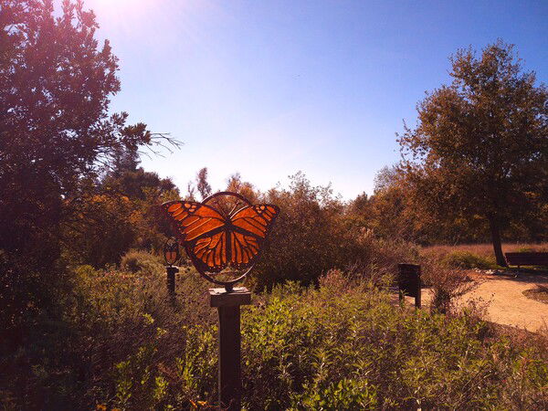 Stained Glass Butterfly