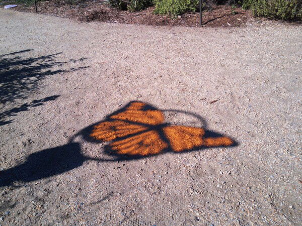Stained Glass Butterfly Shadow