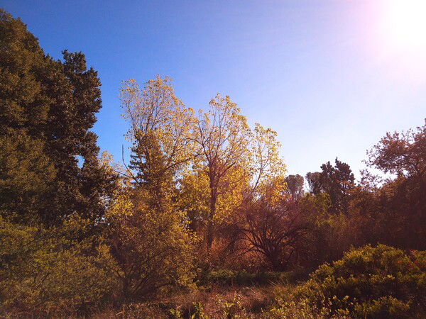 Another beautiful day in the garden.