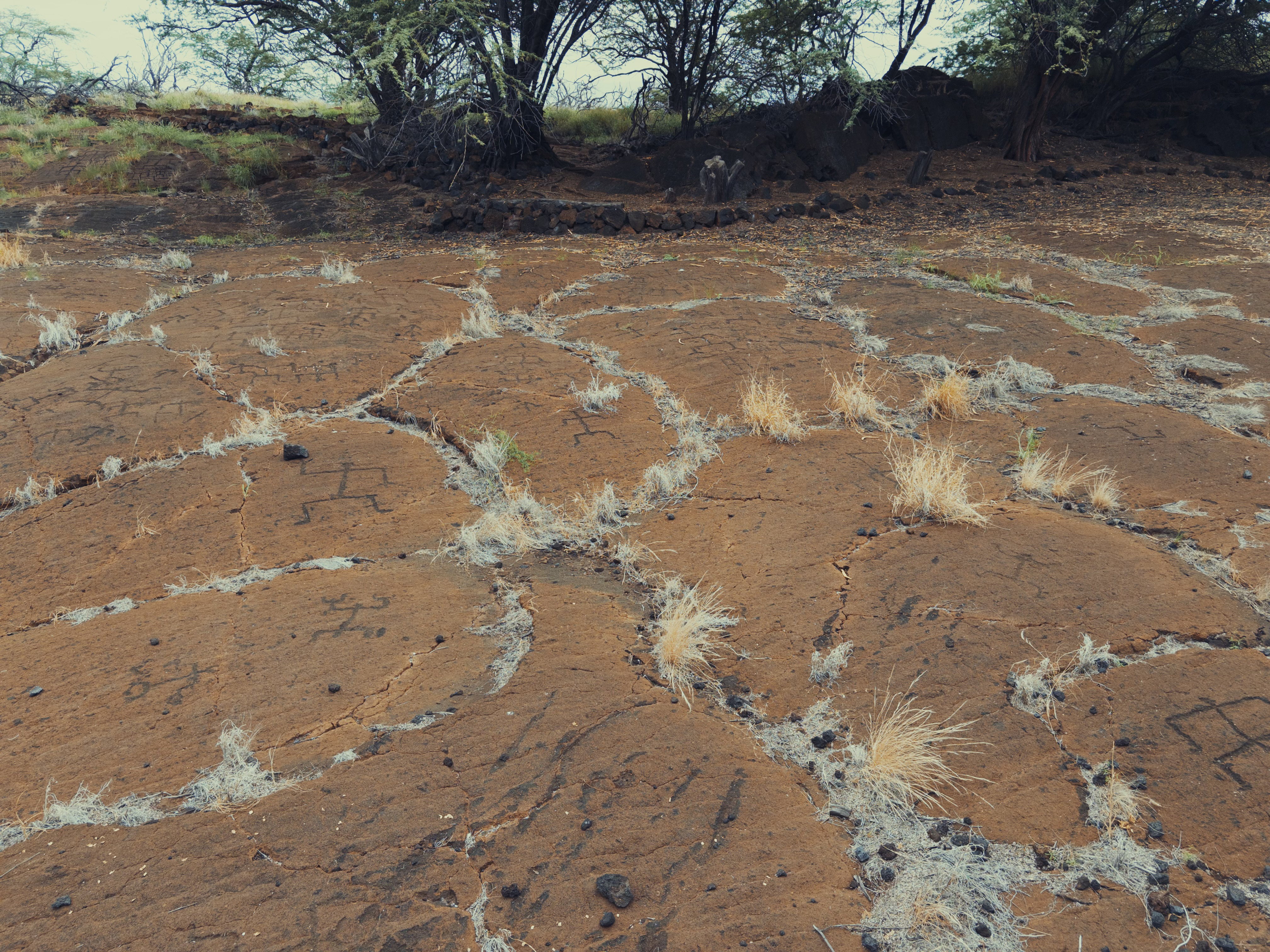 Human petroglyphs carved into lava rock.