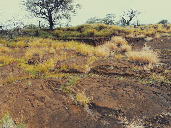 Petroglyphs 2