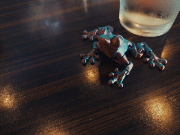 3D-Printed Frog