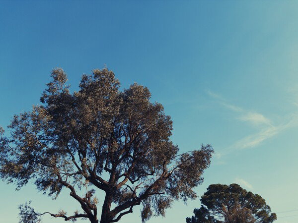 Nice Day Today