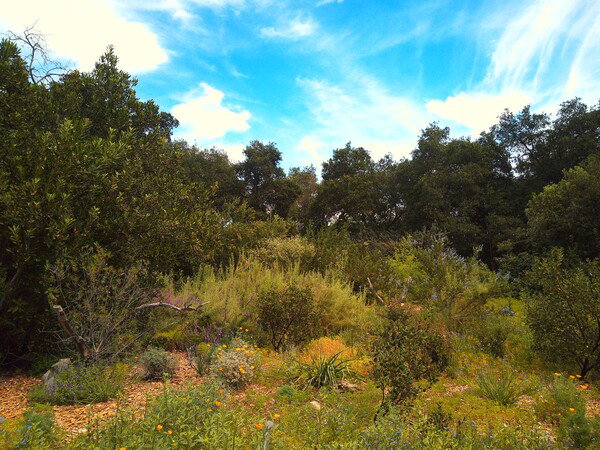 Another beautiful day in the garden!