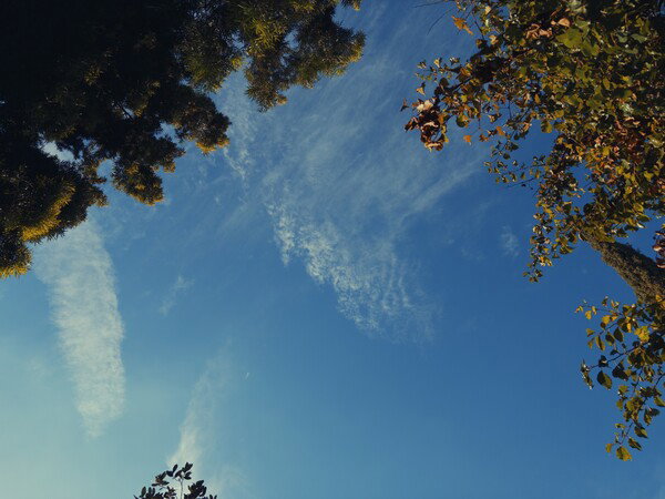 Today’s Sky