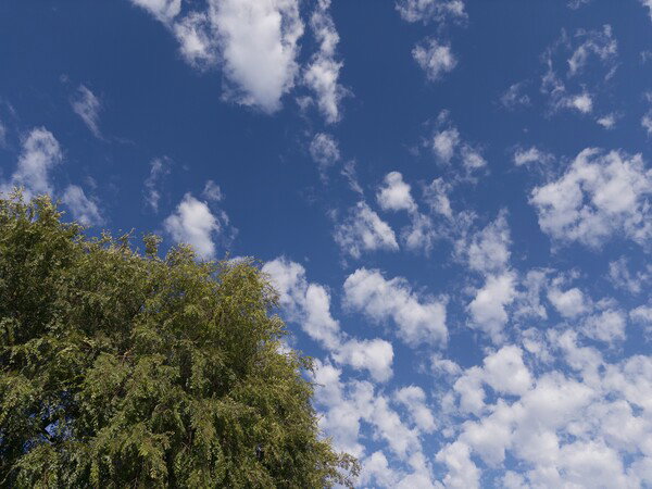 Today’s Sky