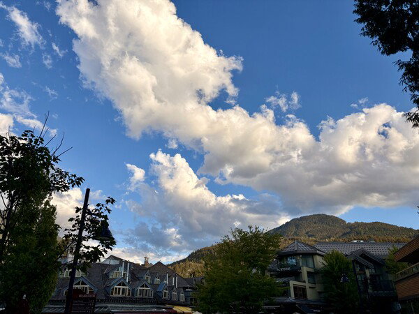 Whistler
