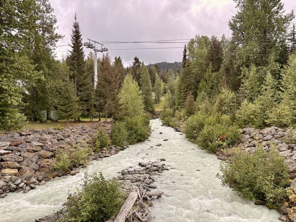Fitzsimmons Creek