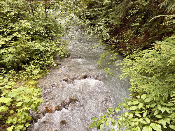 Blackcomb Creek