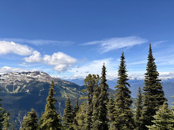 From the top of Blackcomb