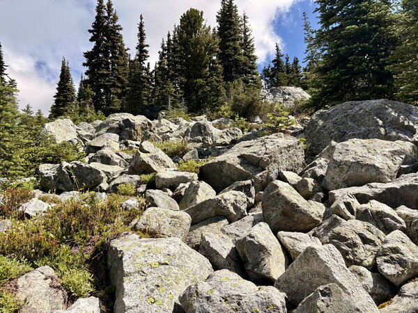 Blackcomb Mountainside 