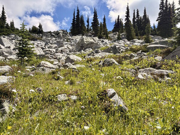Blackcomb Mountainside 