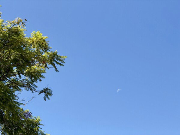 Day Moon