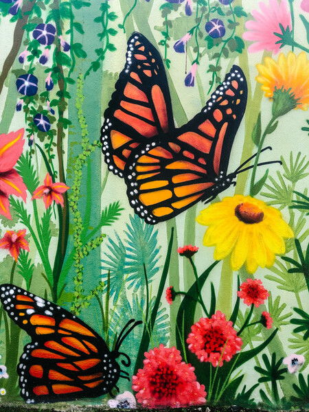 Butterflies & Flowers