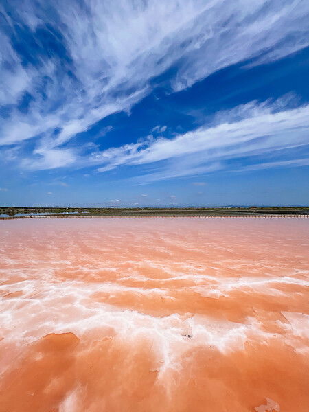 pinkSalt