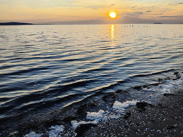 The sun is setting at the beach over a rising tide.