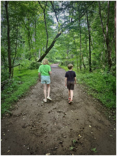 My kids, walking in the forest