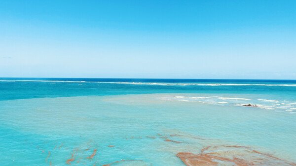 Photo of Caribbean Sea against the horizon line of the sky. The colors are all shades of sky and aqua blue.