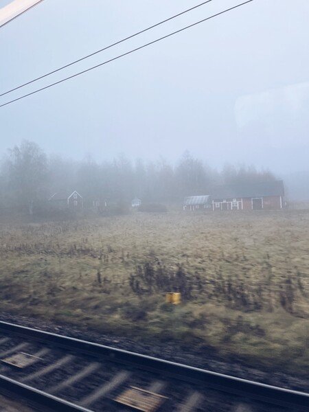 The Swedish countryside on a cold and foggy day. Processed with VSCO with a5 preset.