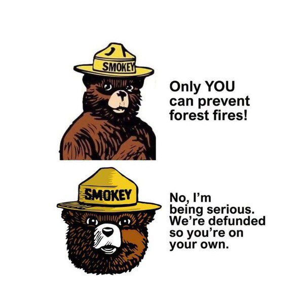 Two-panel Smokey Bear meme: the cheerful fire-prevention slogan up top, then a wild-eyed Smokey confessing they're defunded and you're on your own.