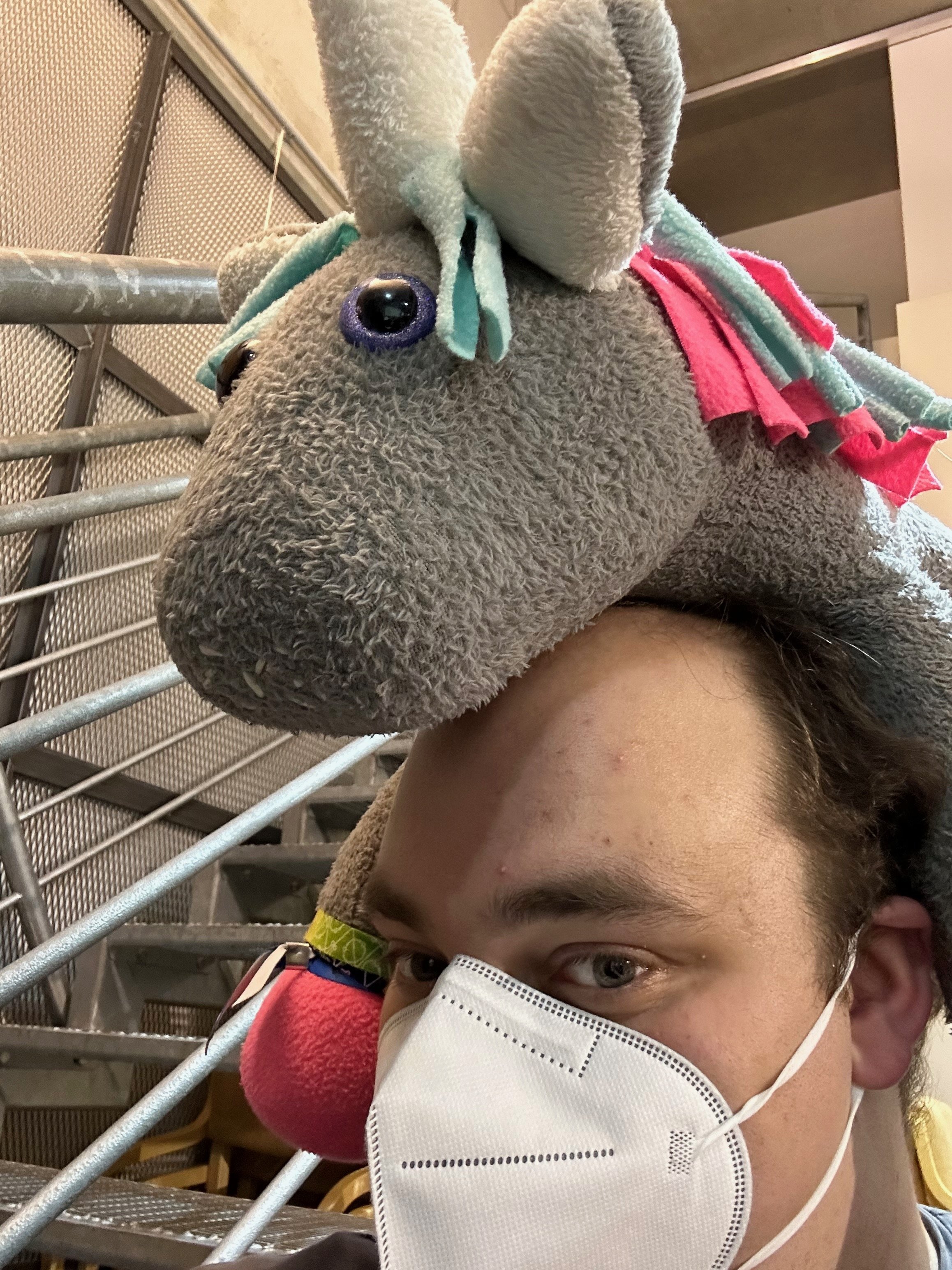 a picture of me (Moira) with Emma (a grey plushie unicorn with light blue and pink crest) leaning over my head